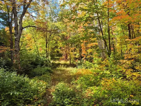 80 Acres Co Rd 510, Ishpeming, MI 49849 photo 18