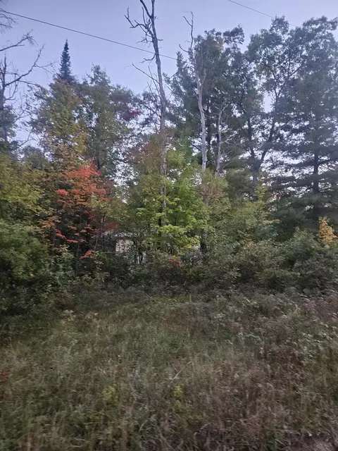 391 Pine, Harrison, MI 48625 photo 9