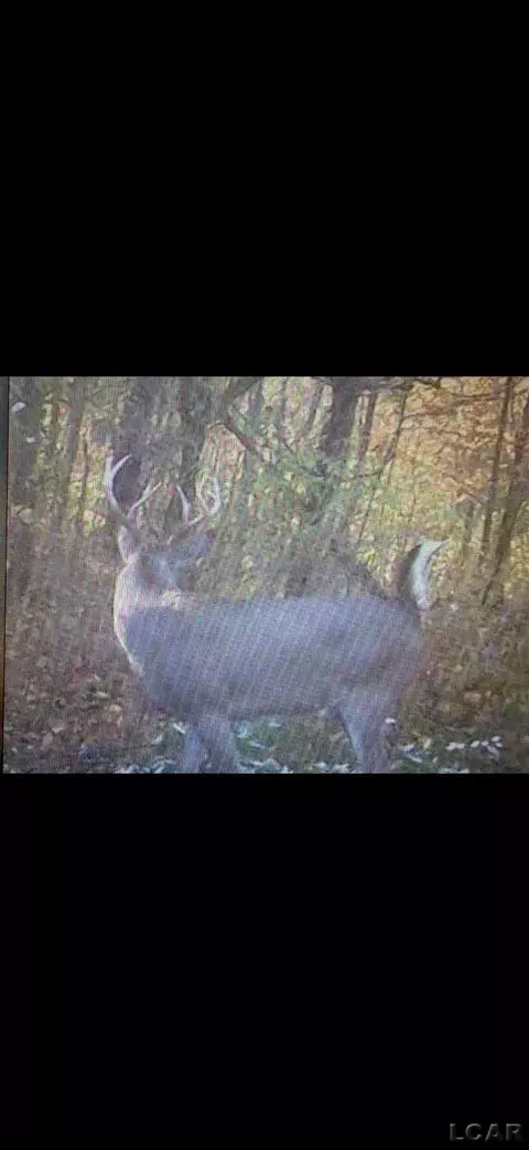 Other - 12931 Beecher, Hudson, MI 49247 photo 24 of 24