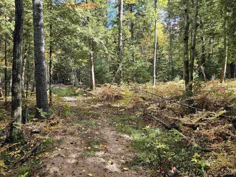 Exterior - 17811 Lee, L'anse, MI 49946 photo 23 of 24