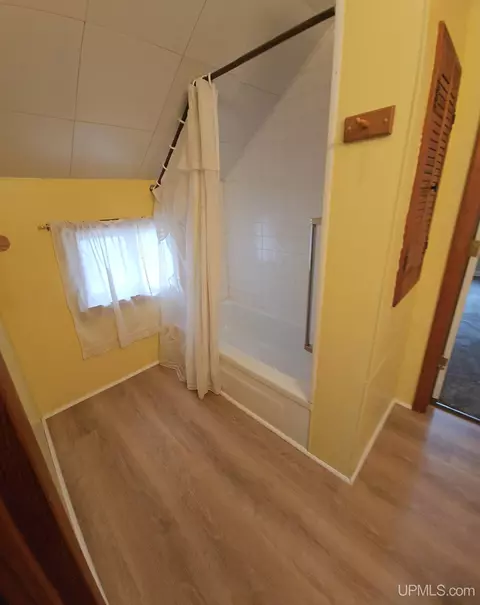 Bath - 408 E, Iron Mountain, MI 49801 photo 3 of 5