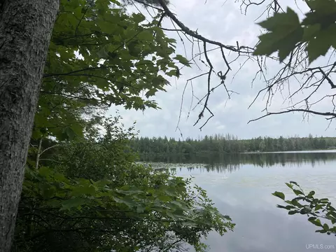 tbd Olson Loop, Iron River, MI 49935 photo 3