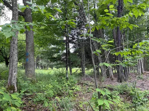tbd Olson Loop, Iron River, MI 49935 photo 62