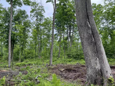 tbd Olson Loop, Iron River, MI 49935 photo 65