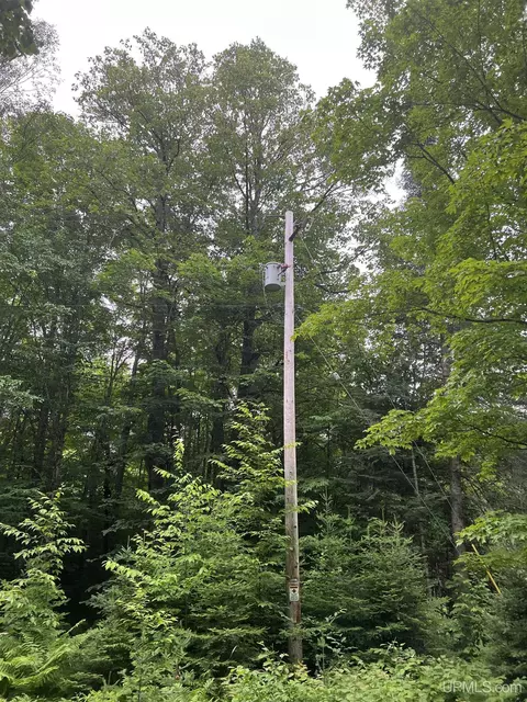 tbd Olson Loop, Iron River, MI 49935 photo 36