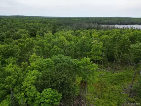 tbd Olson Loop, Iron River, MI 49935 photo 42