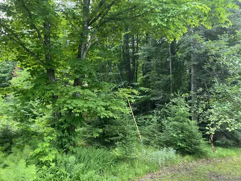 tbd Olson Loop, Iron River, MI 49935 photo 37