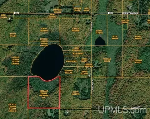 tbd Olson Loop, Iron River, MI 49935 photo 7