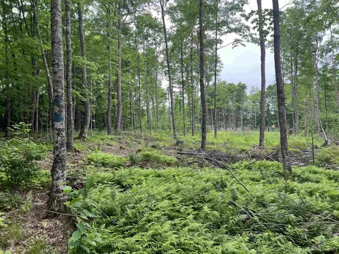 tbd Olson Loop, Iron River, MI 49935 photo 33