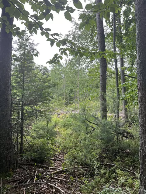 tbd Olson Loop, Iron River, MI 49935 photo 22