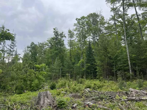 tbd Olson Loop, Iron River, MI 49935 photo 25