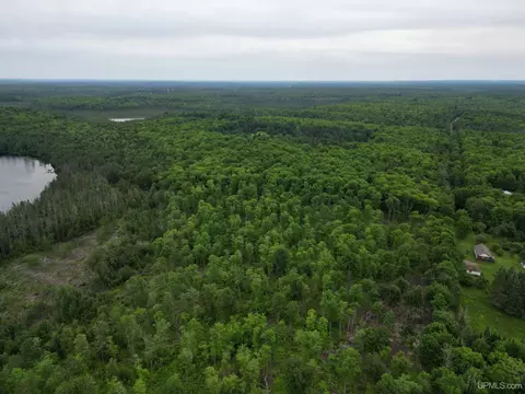 tbd Olson Loop, Iron River, MI 49935 photo 49