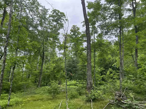 tbd Olson Loop, Iron River, MI 49935 photo 31