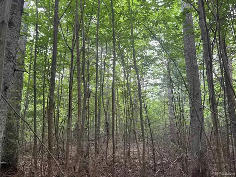 tbd Olson Loop, Iron River, MI 49935 photo 21