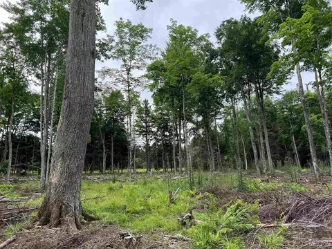 tbd Olson Loop, Iron River, MI 49935 photo 67