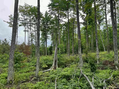tbd Olson Loop, Iron River, MI 49935 photo 14