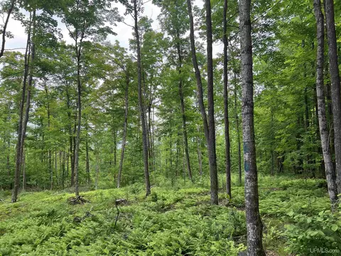 tbd Olson Loop, Iron River, MI 49935 photo 34