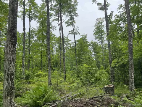 tbd Olson Loop, Iron River, MI 49935 photo 29