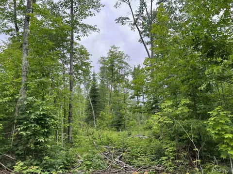 tbd Olson Loop, Iron River, MI 49935 photo 11