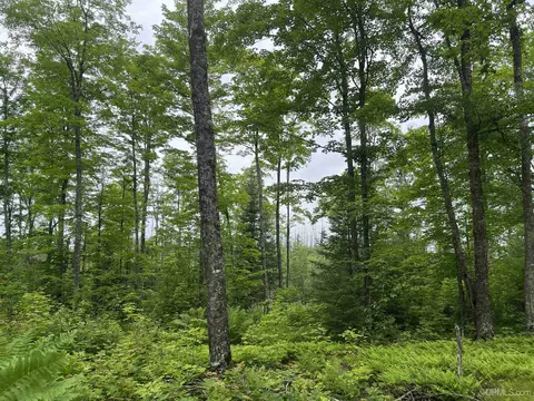 tbd Olson Loop, Iron River, MI 49935 photo 30