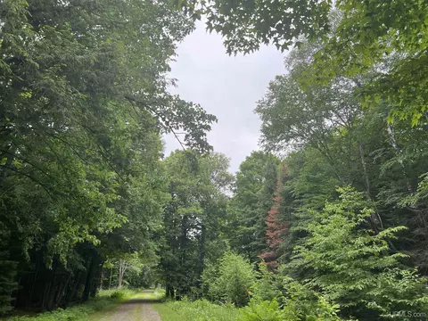 tbd Olson Loop, Iron River, MI 49935 photo 39