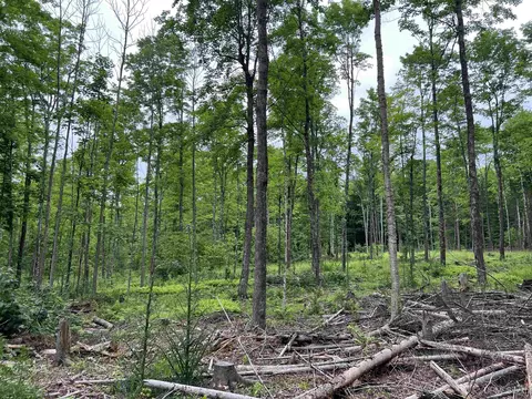 tbd Olson Loop, Iron River, MI 49935 photo 64
