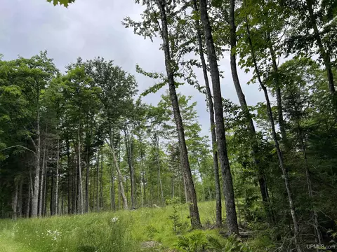 tbd Olson Loop, Iron River, MI 49935 photo 58