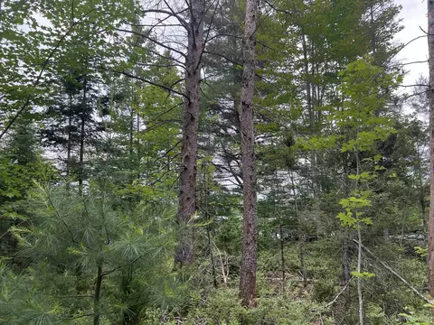 tbd Olson Loop, Iron River, MI 49935 photo 17