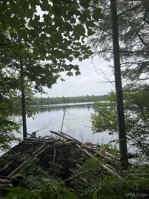 tbd Olson Loop, Iron River, MI 49935 photo 6