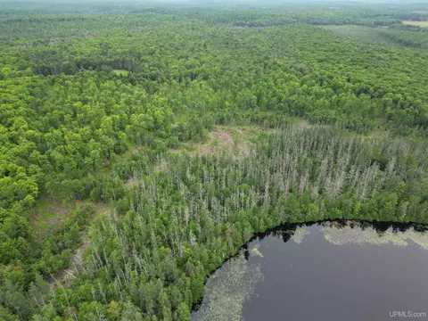 tbd Olson Loop, Iron River, MI 49935 photo 56