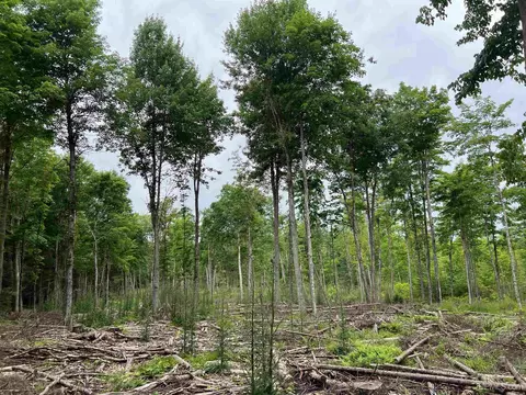 tbd Olson Loop, Iron River, MI 49935 photo 63