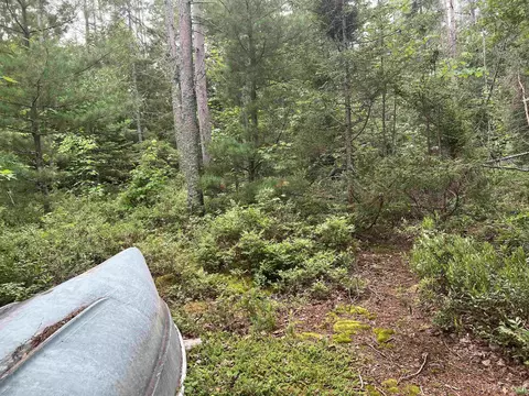 tbd Olson Loop, Iron River, MI 49935 photo 10