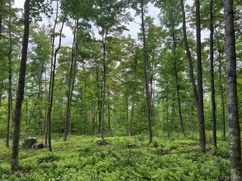 tbd Olson Loop, Iron River, MI 49935 photo 35