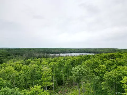 tbd Olson Loop, Iron River, MI 49935 photo 41