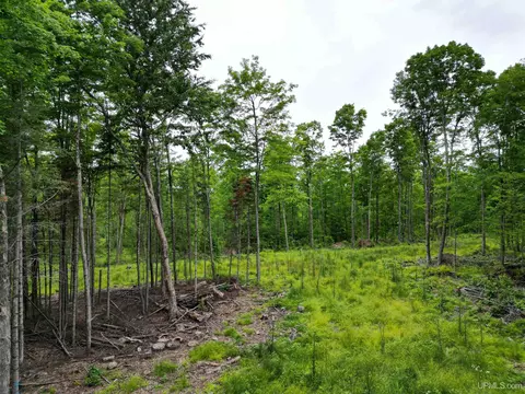 tbd Olson Loop, Iron River, MI 49935 photo 40