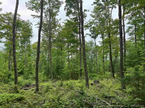 tbd Olson Loop, Iron River, MI 49935 photo 32