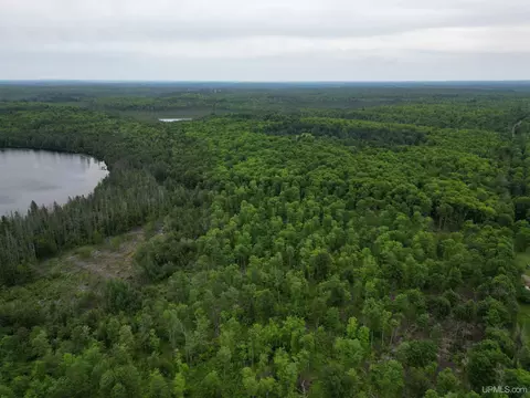 tbd Olson Loop, Iron River, MI 49935 photo 50