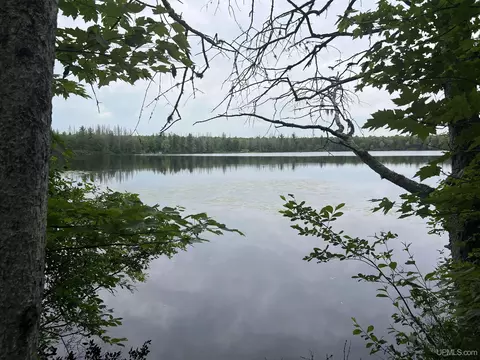 tbd Olson Loop, Iron River, MI 49935 photo 2