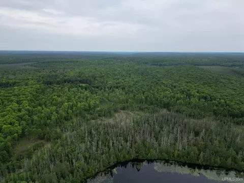 tbd Olson Loop, Iron River, MI 49935 photo 55