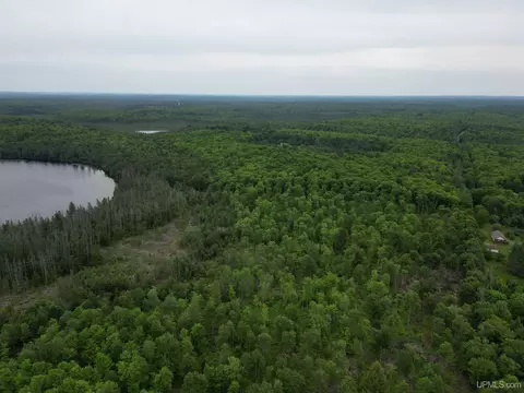 tbd Olson Loop, Iron River, MI 49935 photo 52