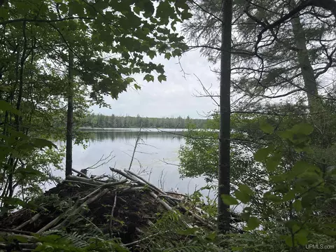 tbd Olson Loop, Iron River, MI 49935 photo 5