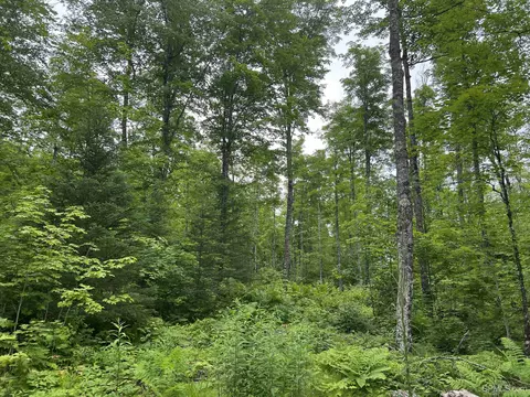 tbd Olson Loop, Iron River, MI 49935 photo 28