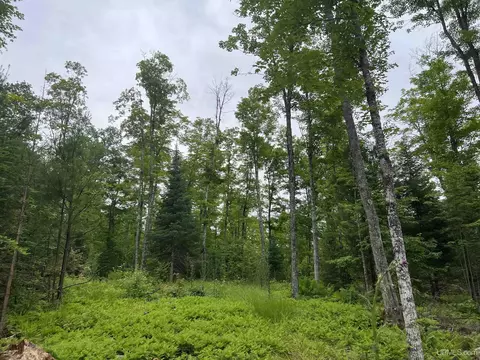 tbd Olson Loop, Iron River, MI 49935 photo 27