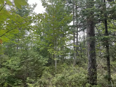 tbd Olson Loop, Iron River, MI 49935 photo 20