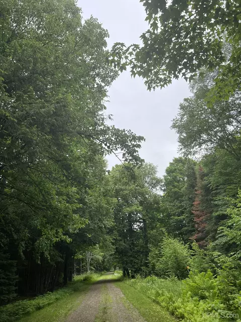 tbd Olson Loop, Iron River, MI 49935 photo 38