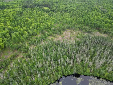 tbd Olson Loop, Iron River, MI 49935 photo 54
