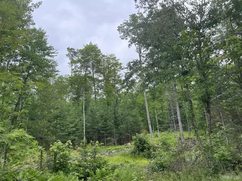 tbd Olson Loop, Iron River, MI 49935 photo 24