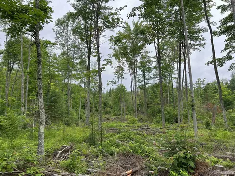 tbd Olson Loop, Iron River, MI 49935 photo 13