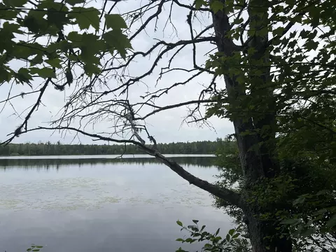 tbd Olson Loop, Iron River, MI 49935 photo 4