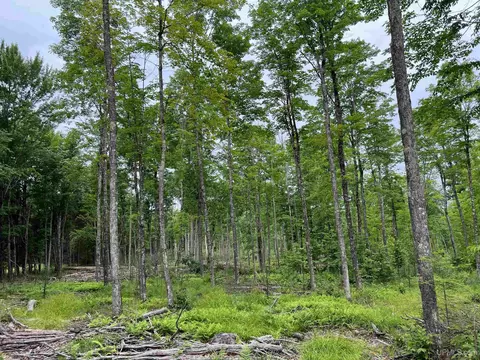 tbd Olson Loop, Iron River, MI 49935 photo 61